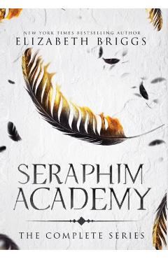 Seraphim Academy: The Complete Series - Elizabeth Briggs