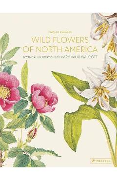 Wild Flowers of North America: Botanical Illustrations by Mary Vaux Walcott - Pamela Henson