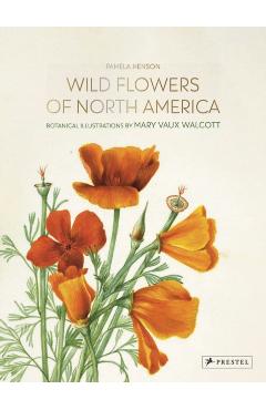 Wild Flowers of North America: Botanical Illustrations by Mary Vaux Walcott - Pamela Henson