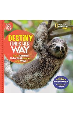 Destiny Finds Her Way: How a Rescued Baby Sloth Learned to Be Wild - Margarita Engle