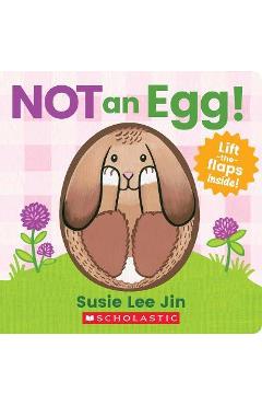 Not an Egg! (a Lift-The-Flap Book) - Susie Lee Jin