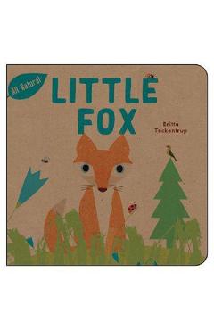 Little Fox – Britta Teckentrup Beletristica