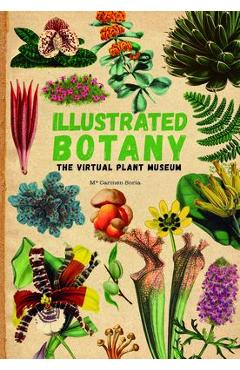 Illustrated Botany: The Virtual Plant Museum - Carmen Soria
