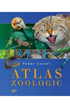 Atlas zoologic – Tudor Cozari Atlas poza bestsellers.ro