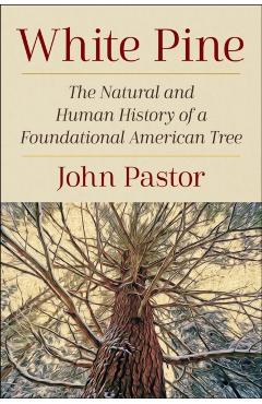 White Pine: The Natural and Human History of a Foundational American Tree - John Pastor