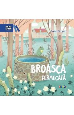 Broasca fermecata - fratii grimm