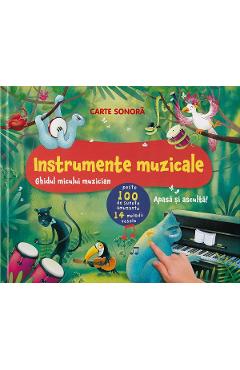 Carte sonora: instrumente muzicale. ghidul micului muzician