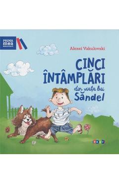 Cinci intamplari din viata lui Sandel - Alexei Vaculovschi