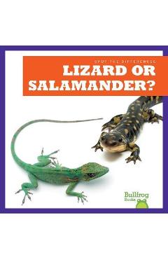 Lizard or Salamander? - Jamie Rice