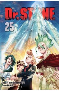 Dr. Stone, Vol. 25 - Riichiro Inagaki