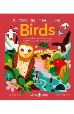 Birds (a Day in the Life): What Do Flamingos, Owls, and Penguins Get Up to All Day? - Alex Bond