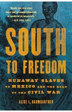 South to Freedom: Runaway Slaves to Mexico and the Road to the Civil War - Alice L. Baumgartner