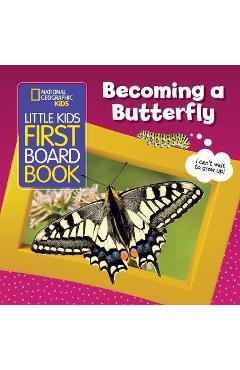 Little Kids First Board Book: Becoming a Butterfly - Ruth Musgrave