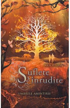 Suflete inrudite. Umbrele amintirii - Nica Stevens