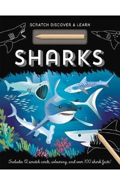 Sharks - Amanda Shufflebotham
