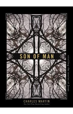 Son of Man: Retelling the Stories of Jesus - Charles Martin