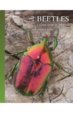 The Lives of Beetles: A Natural History of Coleoptera - Arthur V. Evans