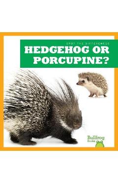 Hedgehog or porcupine? - jamie rice