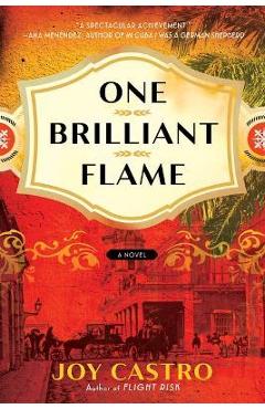 One Brilliant Flame - Joy Castro