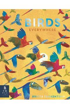Birds Everywhere - Camilla De La Bedoyere