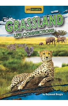 Grassland Life Connections - Raymond Bergin