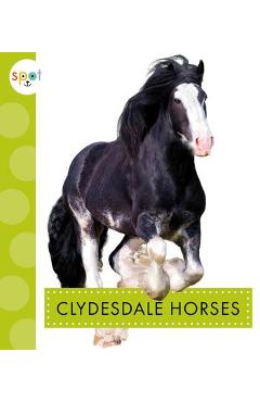Clydesdale Horses - Alissa Thielges