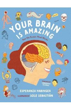 Your Brain Is Amazing: How the Human Mind Works - Esperanza Habinger