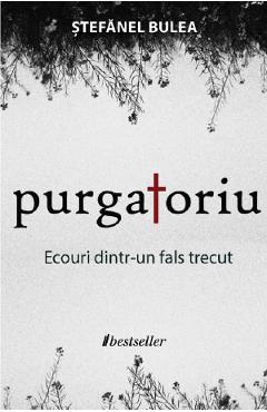 Purgatoriu. ecouri dintr-un fals trecut - stefanel bulea