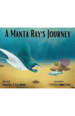 A manta ray's journey - jessica pate