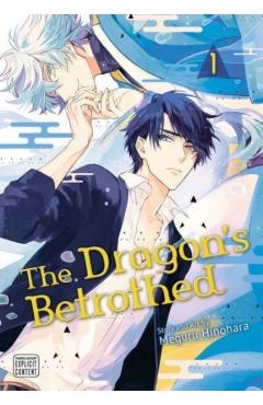 The Dragon's Betrothed, Vol. 1 - Meguru Hinohara