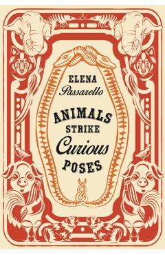 Animals Strike Curious Poses - Elena Passarello - Imagine 1
