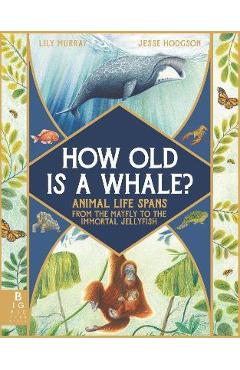 How Old Is a Whale?: Animal Life Spans from the Mayfly to the Immortal Jellyfish - Lily Murray