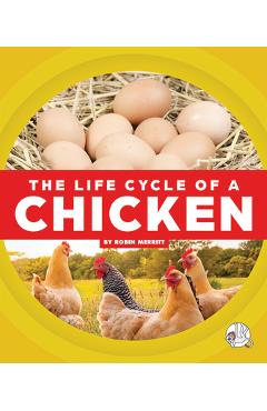 The Life Cycle of a Chicken - Robin Merritt