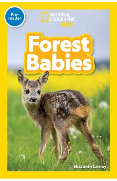 National Geographic Readers: Forest Babies (Pre-Reader) - Elizabeth Carney