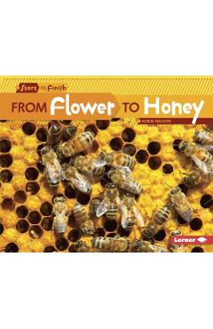 From Flower to Honey - Robin Nelson