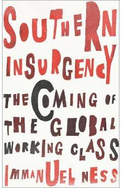 Southern Insurgency: The Coming of the Global Working Class - Immanuel Ness