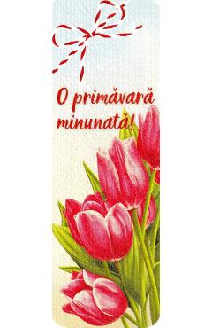 Semn de carte: O primavara minunata!