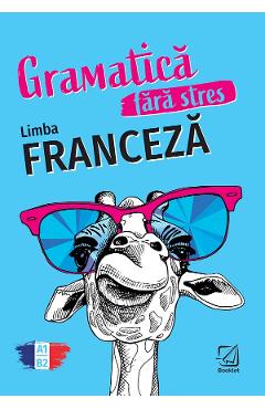 Gramatica fara stres. Limba franceza - Fabienne Schreitmuller