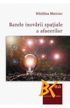 Bazele inovarii spatiale a afacerilor – Madalina Maticiuc Afaceri poza bestsellers.ro