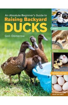 An Absolute Beginner\'s Guide to Raising Backyard Ducks: Breeds, Feeding, Housing and Care, Eggs and Meat - Gail Damerow