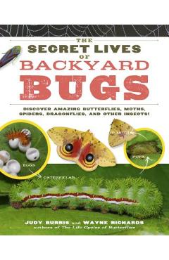 The Secret Lives of Backyard Bugs: Discover Amazing Butterflies, Moths, Spiders, Dragonflies, and Other Insects! - Judy Burris