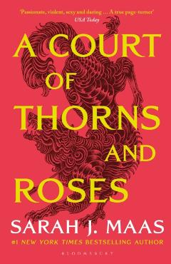 A Court of Thorns and Roses Vol.1 - Sarah J. Maas