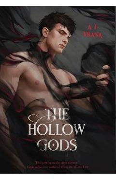 The Hollow Gods - A. J. Vrana