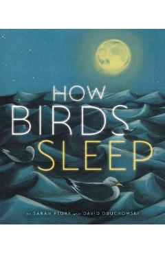 How Birds Sleep - David Obuchowski