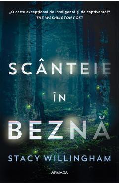 Scanteie in bezna - Stacy Willingham - NEMIRA