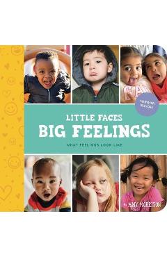 Little Faces Big Feelings: What Emotions Look Like - Amy Morrison