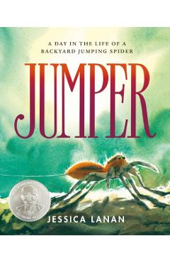 Jumper: A Day in the Life of a Backyard Jumping Spider - Jessica Lanan