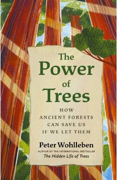 The Power of Trees: How Ancient Forests Can Save Us If We Let Them - Peter Wohlleben