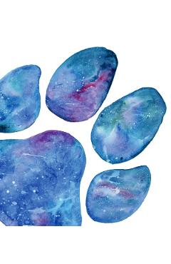 Felicitare galaxie: Seria Paw Print