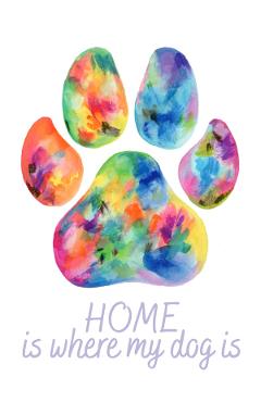Felicitare culori: seria paw print. home is where my dog is